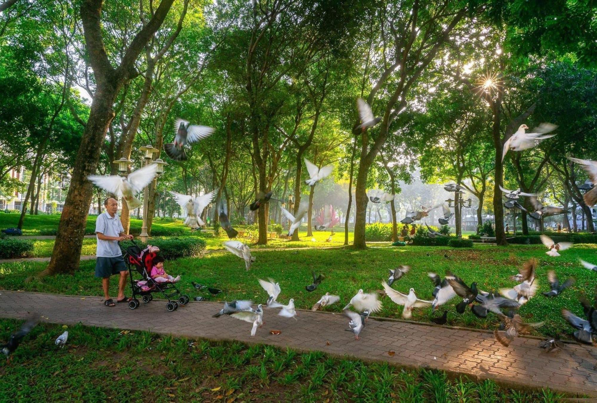 Căn hộ Ho Emerald Precinct Celadon TP. Hồ Chí Minh